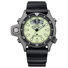 Citizen | Promaster Aqualand Diver's Professional - JP2007-17W